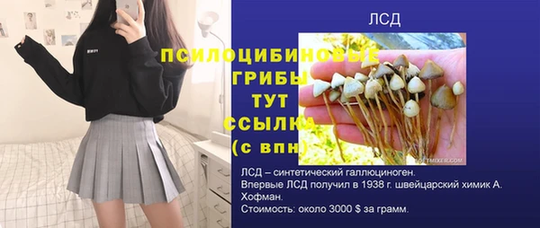 круглые Алексеевка