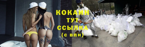 прущие крисы Алексин