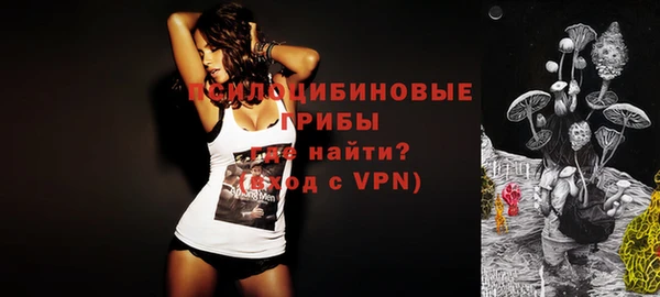 круглые Алексеевка