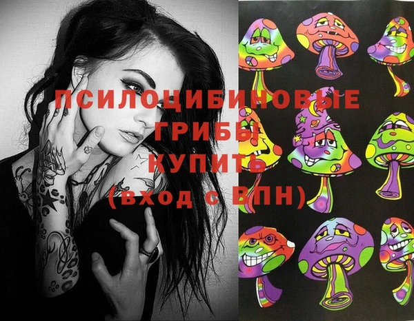 круглые Алексеевка