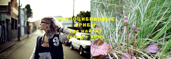 дурь Сатка