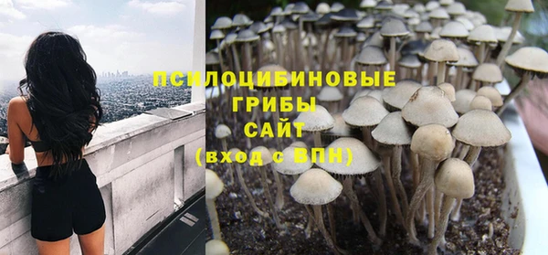 круглые Алексеевка