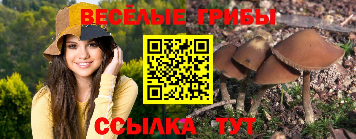 цена наркотик  Вход с VPN  Саянск  Галлюциногенные грибы мухоморы 