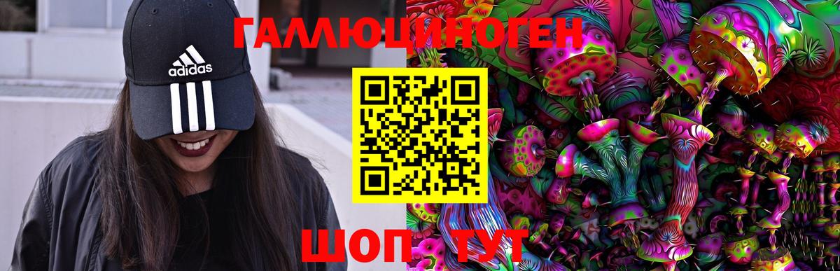 Галлюциногенные грибы Cubensis Саянск